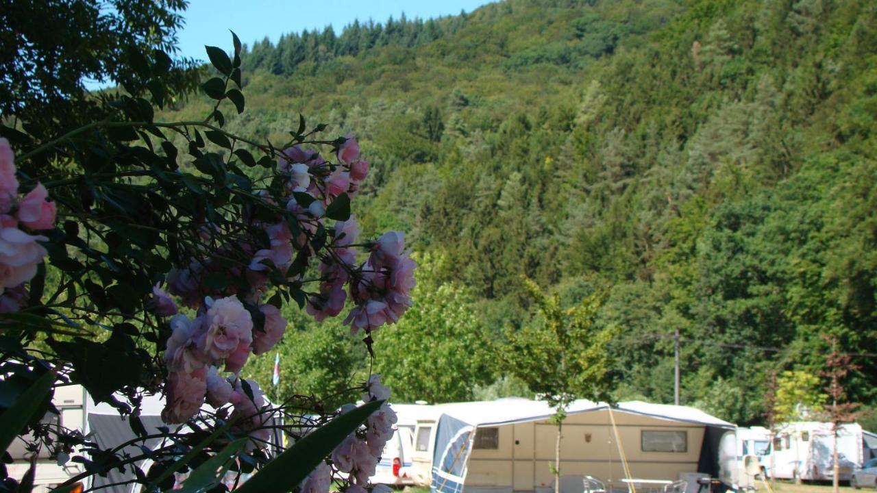 Camping Wies-Neu Dillingen 外观 照片